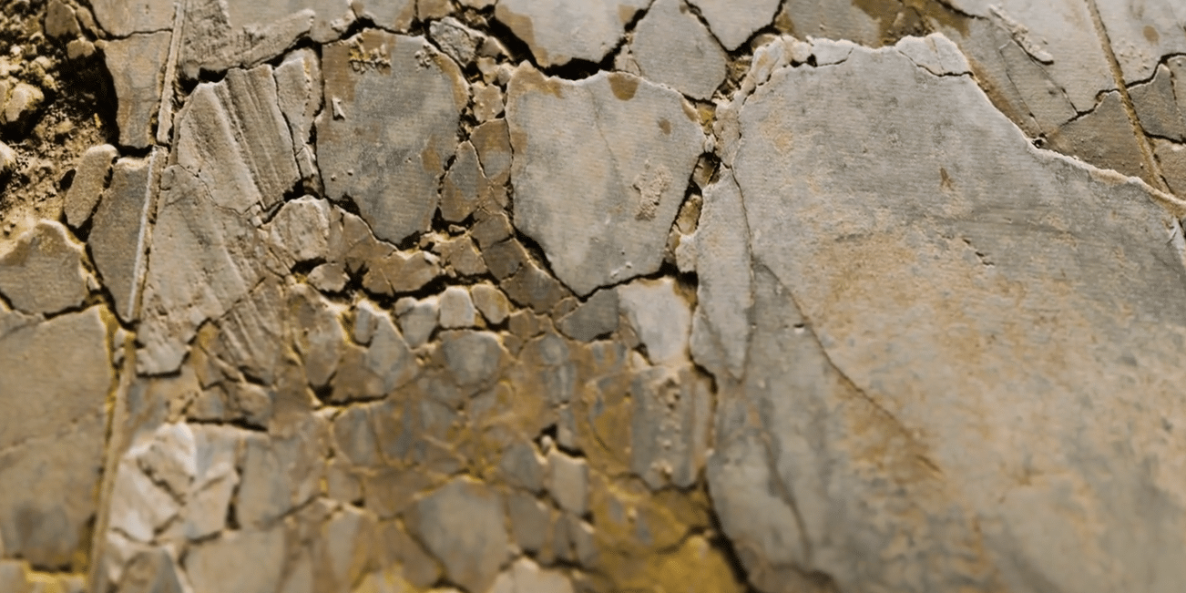 foundation damage